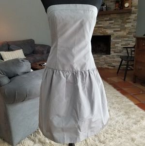 J Crew Silver Strapless Dress